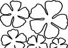 Трафареты 5 лепестковый цветок